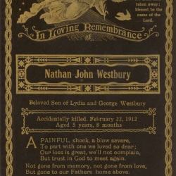 Bull family Dartmoor