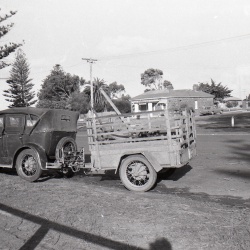 Portland Observer Photos